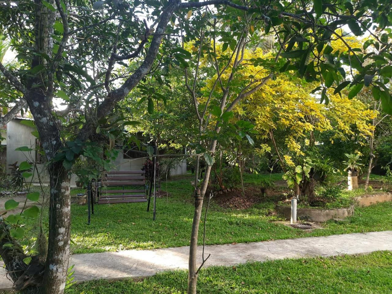 Lawrence Villa 韦利格默 外观 照片